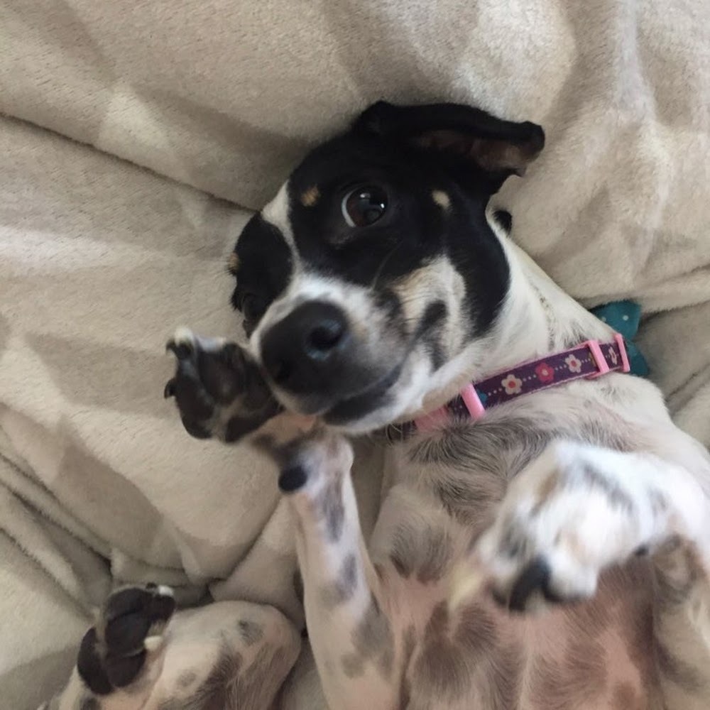 Meet your Posher, Kaley